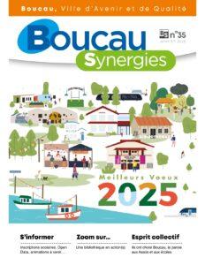 reproduction miniature Boucau Synergies n°35 Janvier 2025